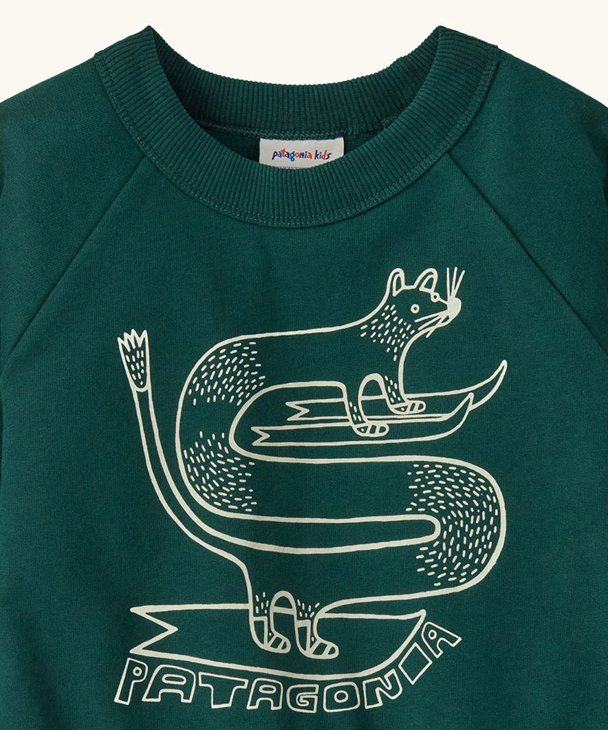 Patagonia Baby Crew Sweatshirt – Skisel: Cascade Green