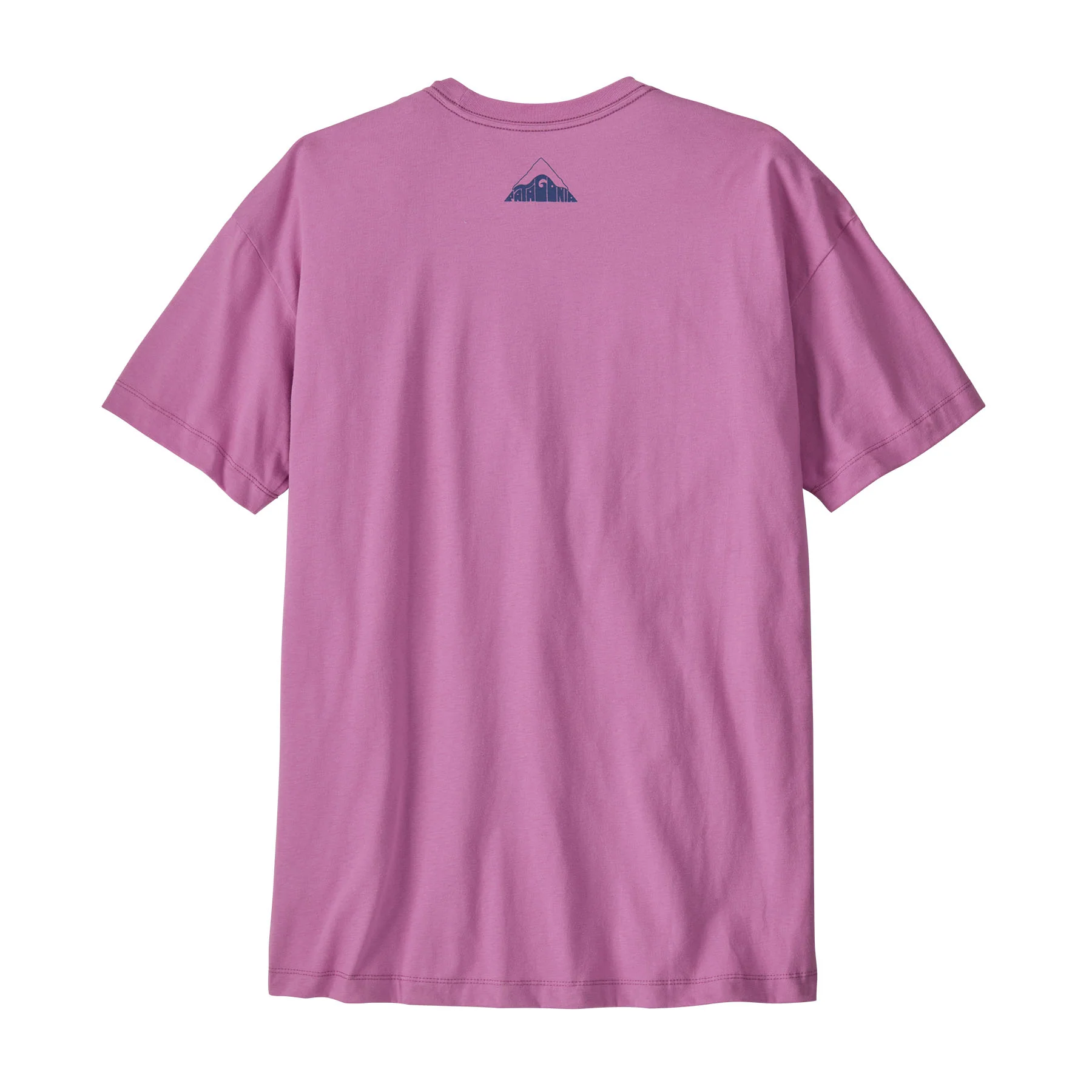 Patagonia Women&rsquo;s Oversized Organic T-Shirt – Driftways / Brisk Purple