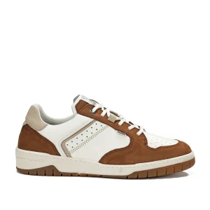 ROGER F1954 Basket Brun