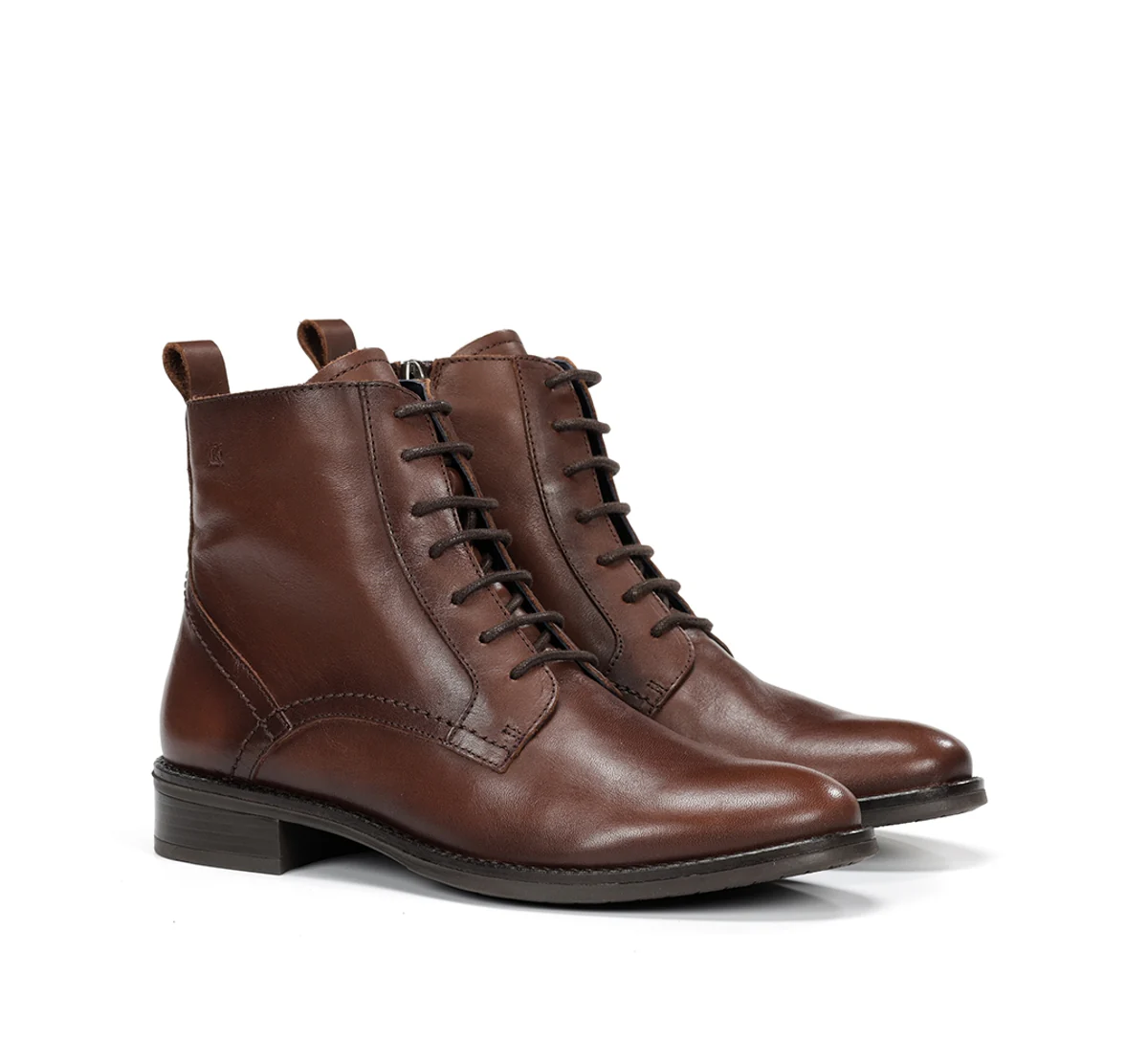 HARVARD D8343 Bottine Brun